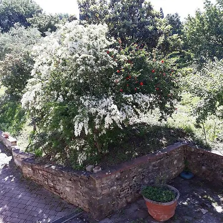 Il Burattino Fiesole